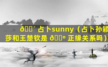 🐴 占卜sunny（占卜孙颖莎和王楚钦是 🌺 正缘关系吗）